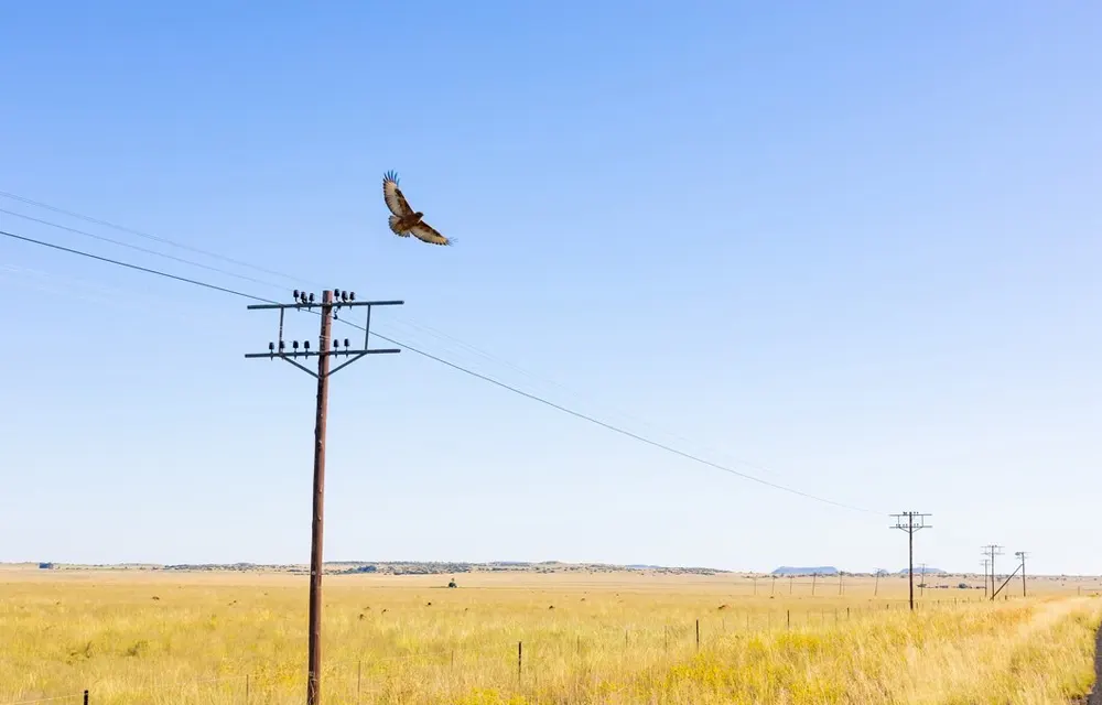 what is electricity pole
